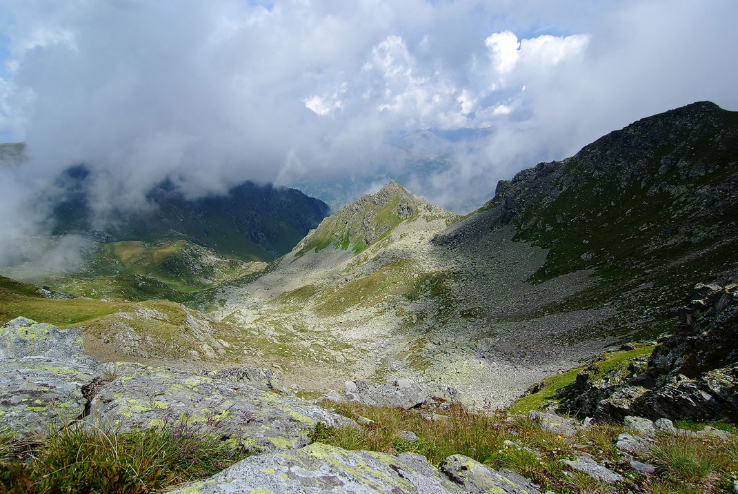 DSCF1781